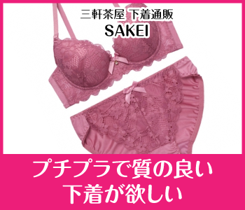 �u���W���[�̎��������Ȑl�͎����ŃT�C�Y���v��ʔ̂��g�����I